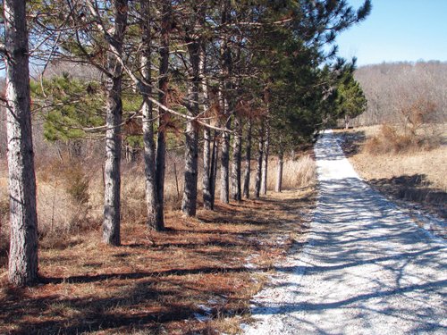 Property photo 15 - 97.5 Acres - Executive Home and Secluded Retreat
